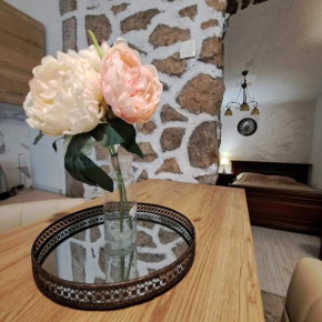 Unique Apartment Centar